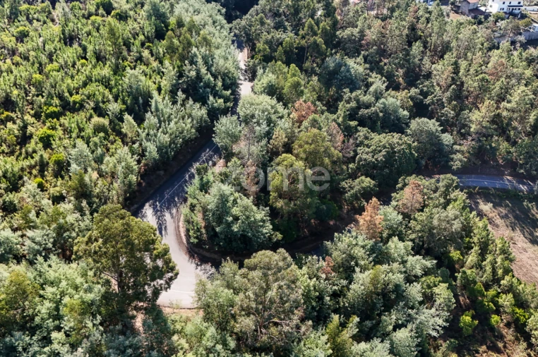 Terreno para Venda em Folques Foto 7