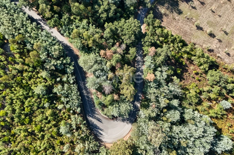 Terreno para Venda em Folques Foto 5