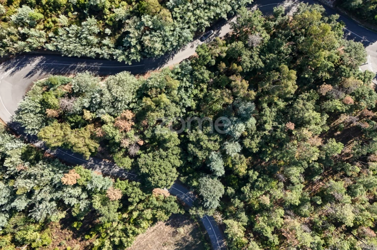 Terreno para Venda em Folques Foto 8