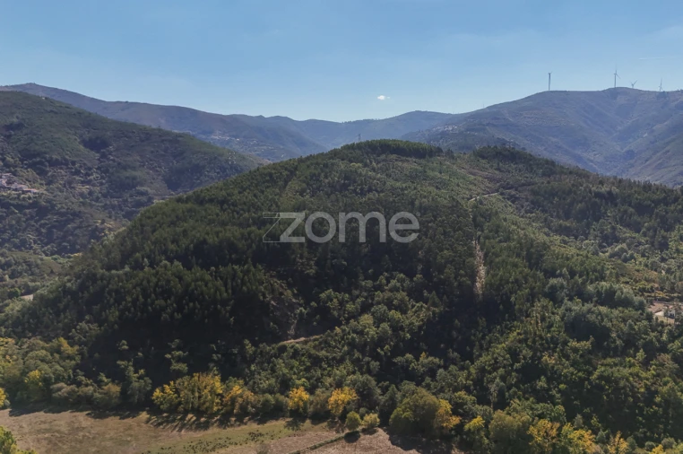 Terreno para Venda em Folques Foto 14