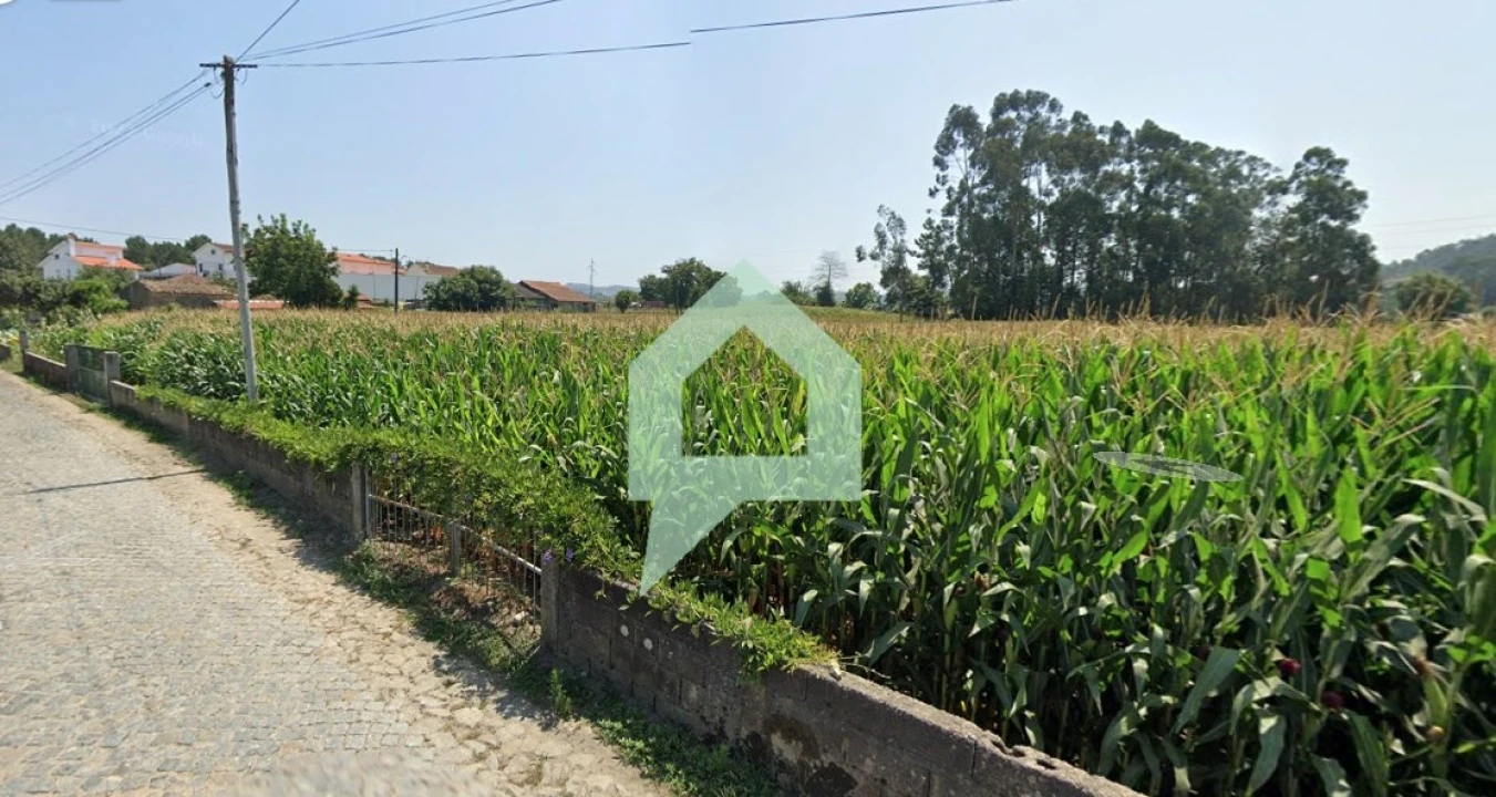 Terreno para Venda em Carvalhal Foto 3