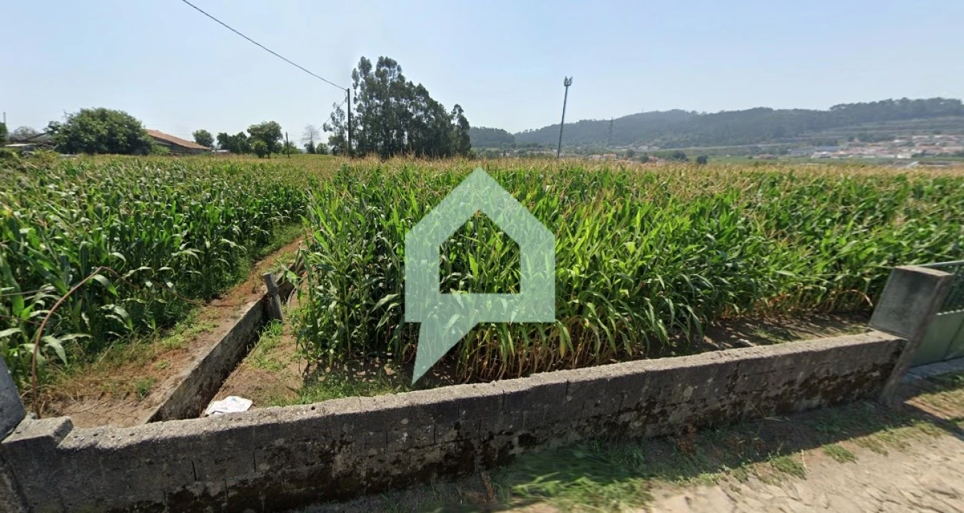 Terreno para Venda em Carvalhal Foto 4