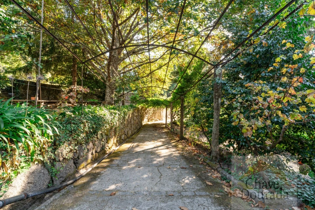 Quinta T5 para Venda em Vouzela e Paços de Vilharigues Foto 44