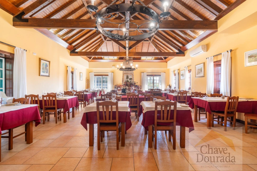 Quinta T5 para Venda em Vouzela e Paços de Vilharigues Foto 48