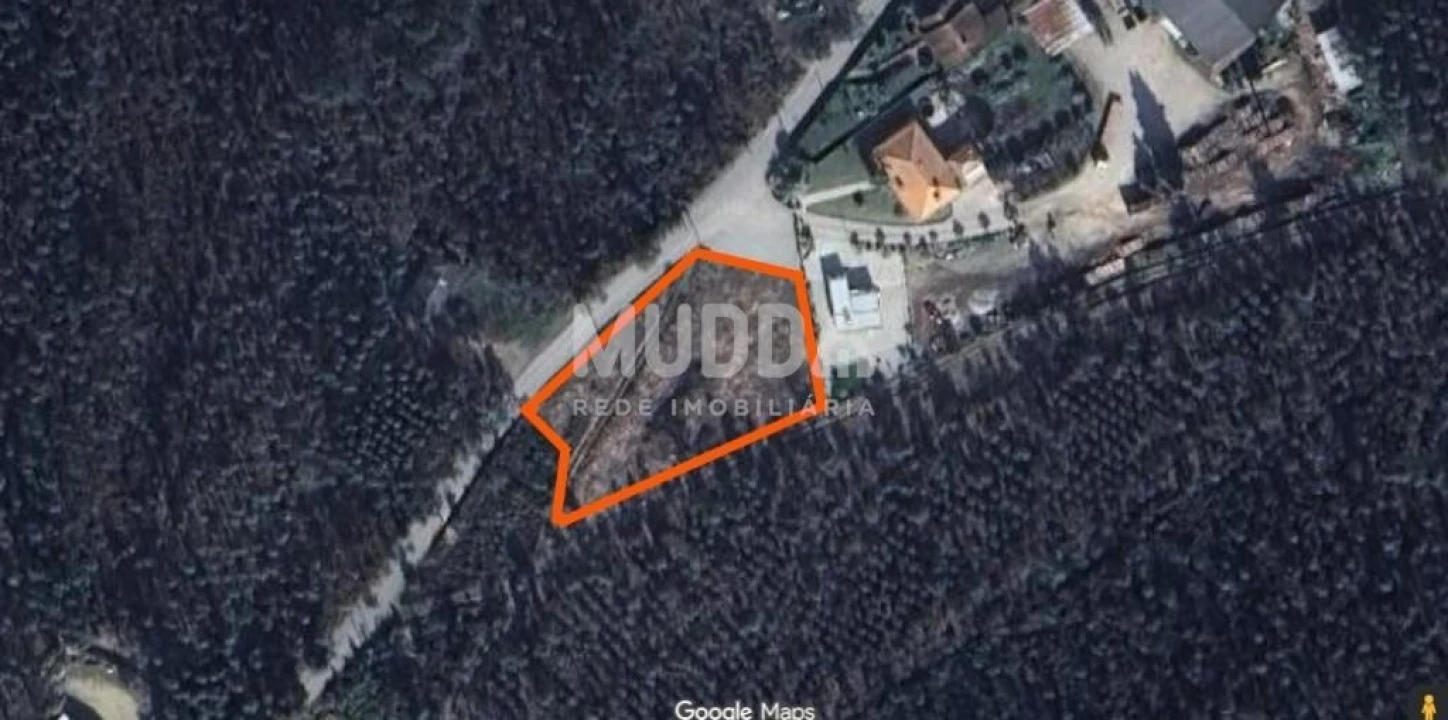 Terreno para Venda em Macinhata do Vouga Foto 1