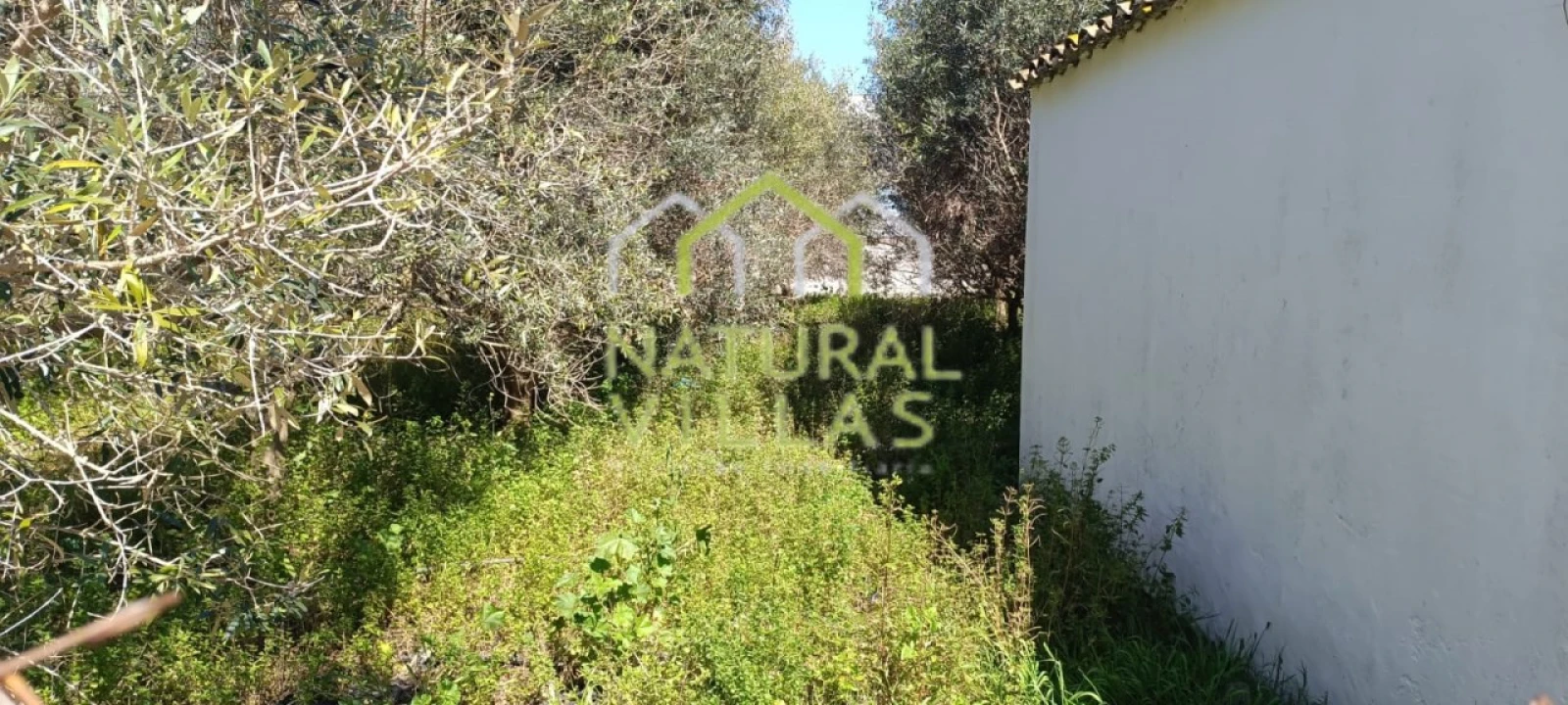 Terreno Agricola ou Rústico para Arrendamento em Conceição e Estoi Foto 2