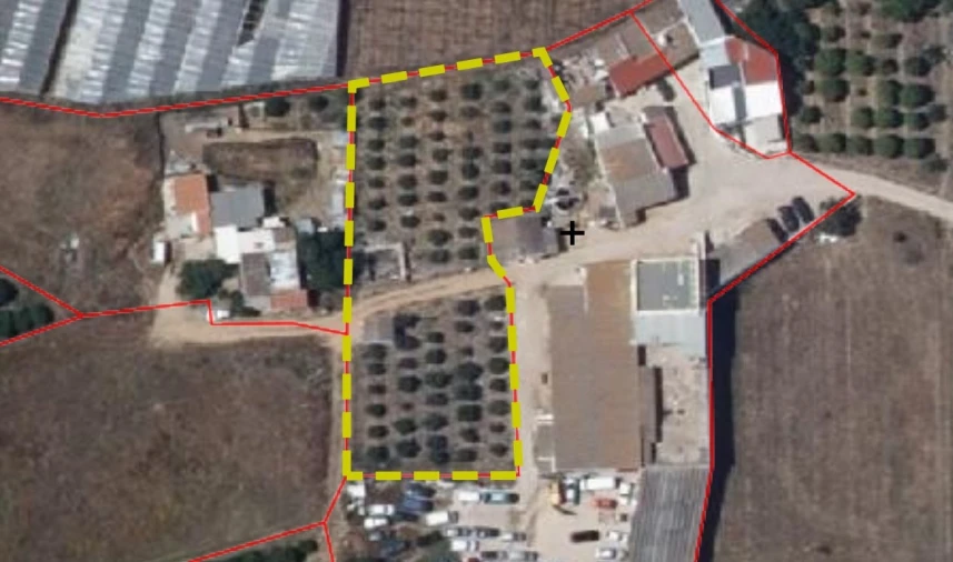 Terreno Agricola ou Rústico para Arrendamento em Conceição e Estoi Planta 1