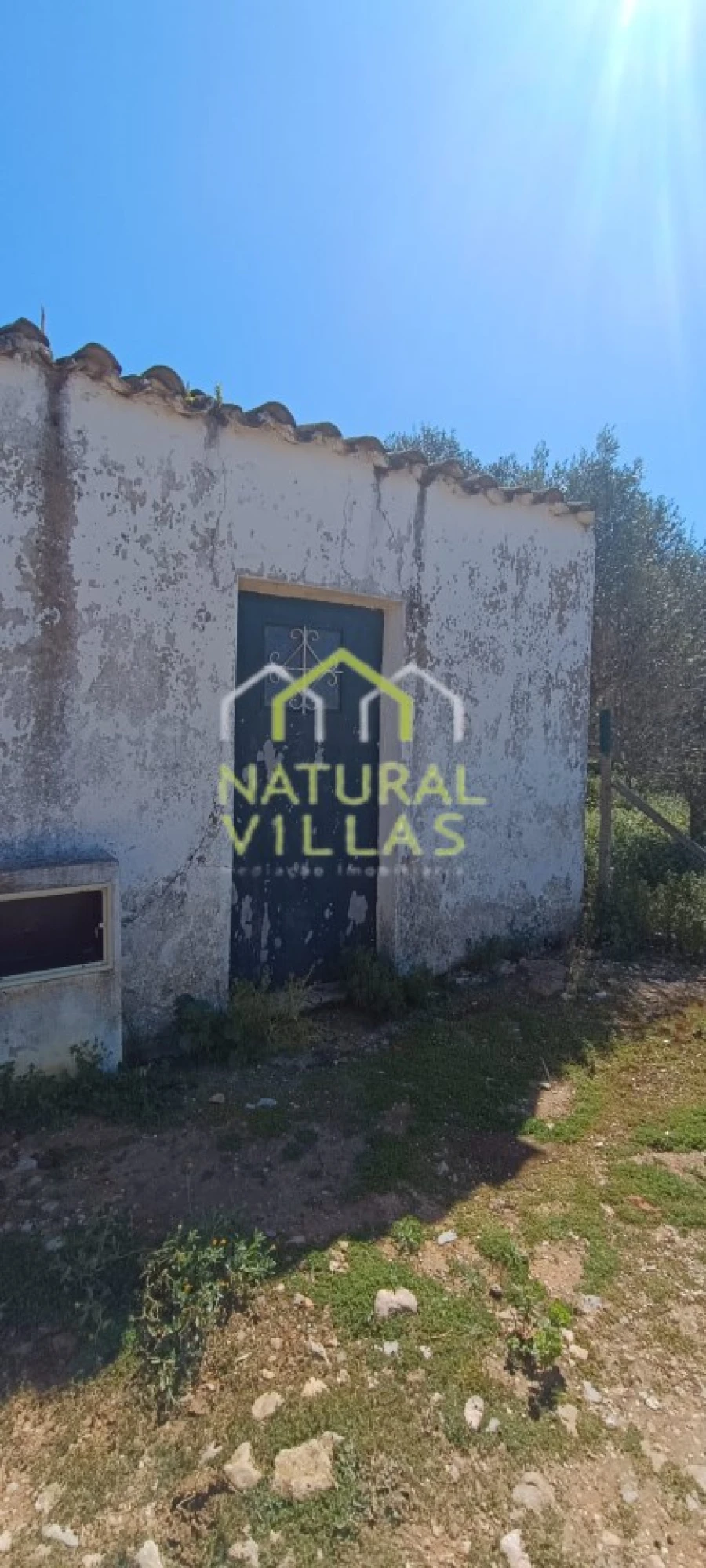 Terreno Agricola ou Rústico para Arrendamento em Conceição e Estoi Foto 3