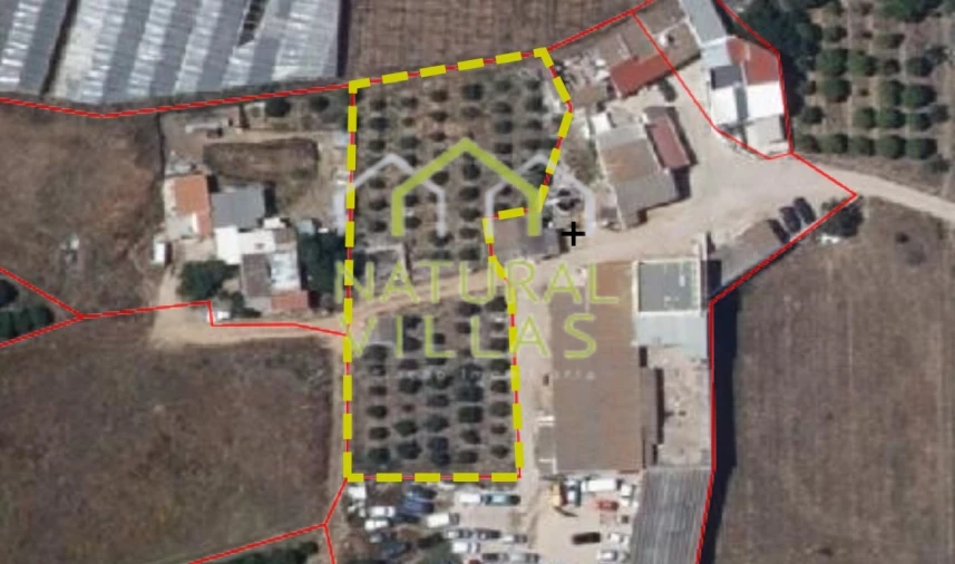 Terreno Agricola ou Rústico para Arrendamento em Conceição e Estoi Foto 5