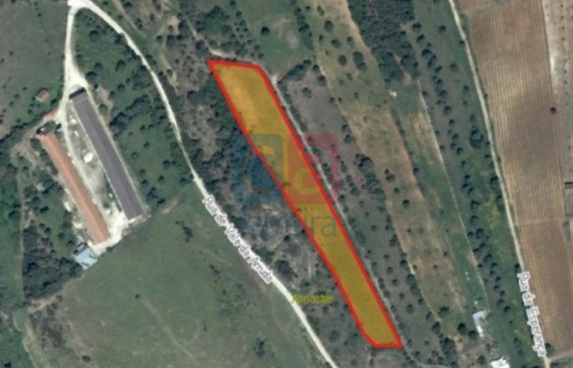 Terreno para Venda em Almoster Foto 1