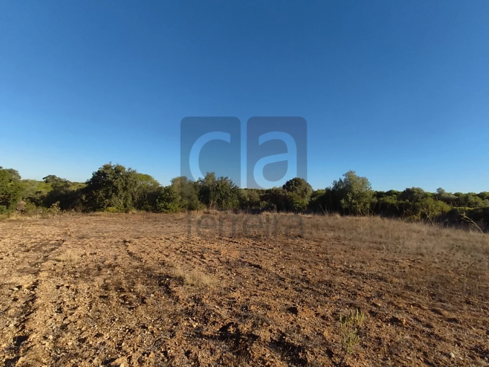 Terreno para Venda em Almoster Foto 7