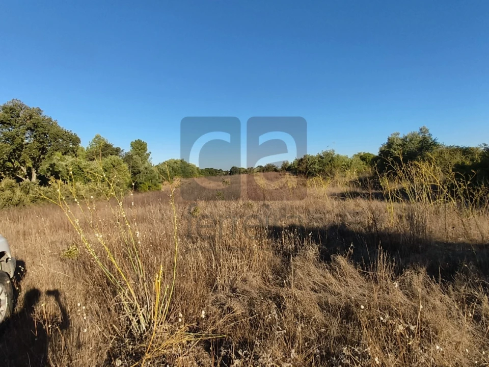 Terreno para Venda em Almoster Foto 9