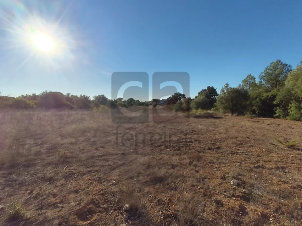 Terreno para Venda em Almoster Foto 12