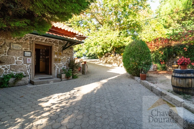 Negócio para Venda em Vouzela e Paços de Vilharigues Foto 51