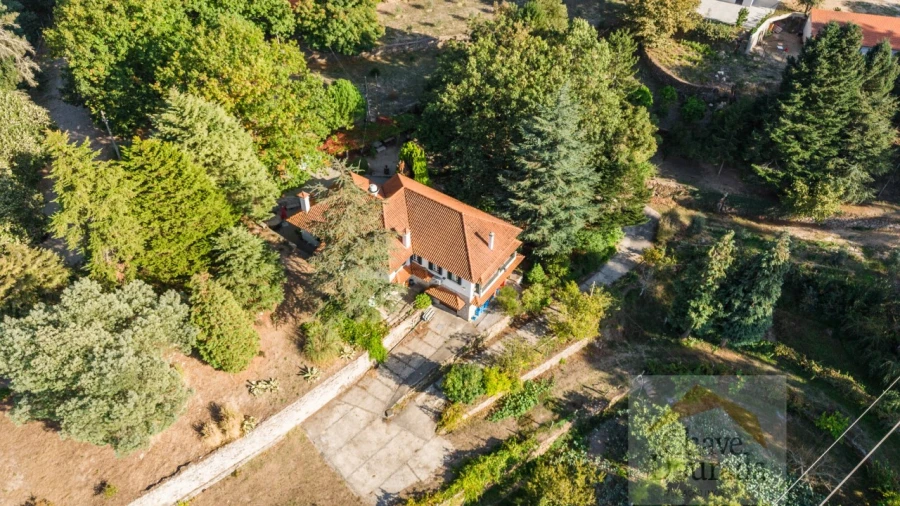 Negócio para Venda em Vouzela e Paços de Vilharigues Foto 53