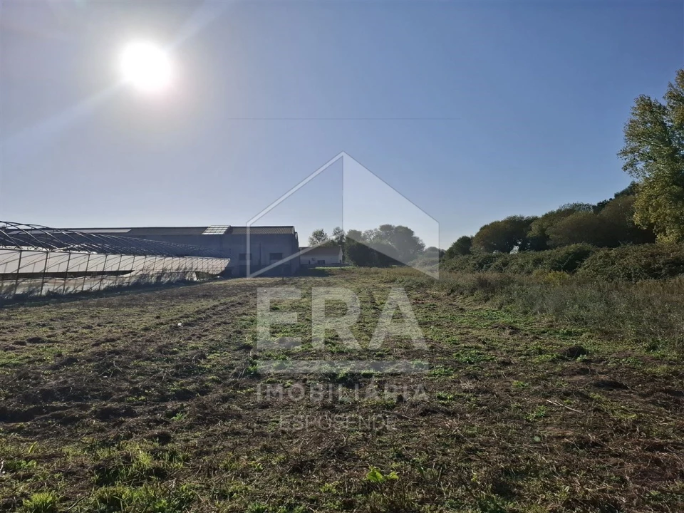 Terreno Agricola ou Rústico para Venda em Belinho e Mar Foto 4