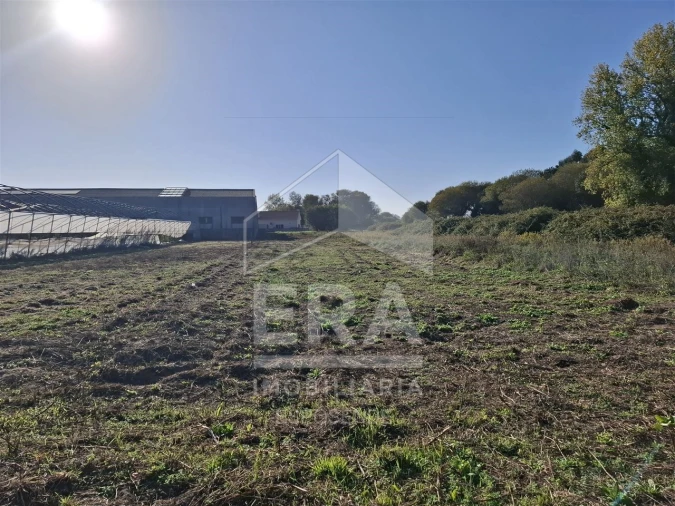 Terreno Agricola ou Rústico para Venda em Belinho e Mar Foto 3