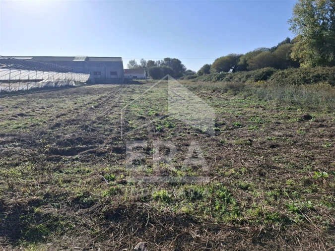 Terreno Agricola ou Rústico para Venda em Belinho e Mar Foto 5
