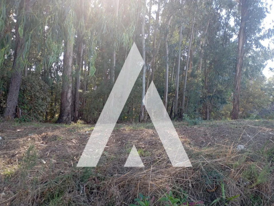 Terreno para Venda em Bustelo Foto 1