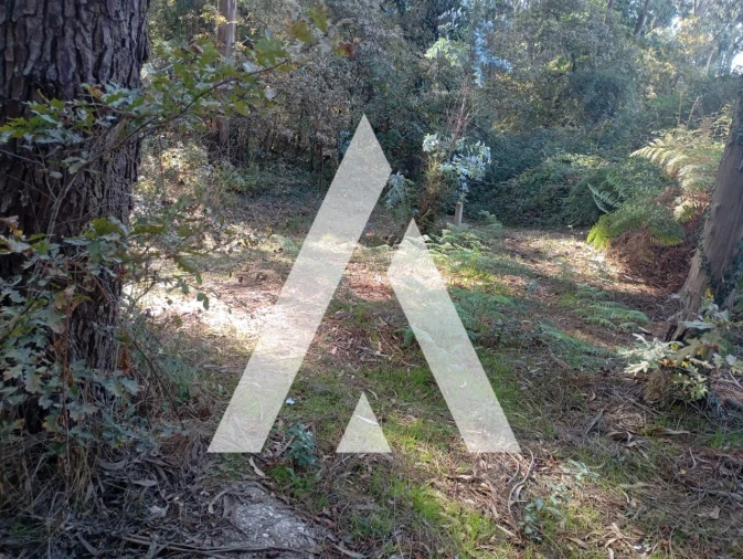 Terreno para Venda em Bustelo Foto 3