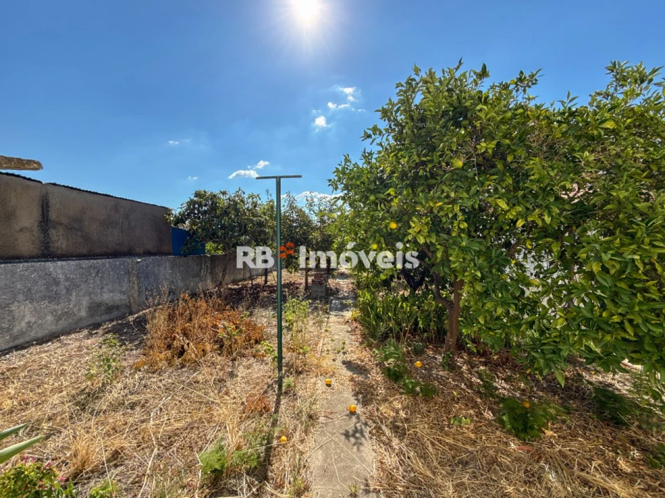 Moradia T3 para Venda em Nossa Sra de Fatima Foto 33