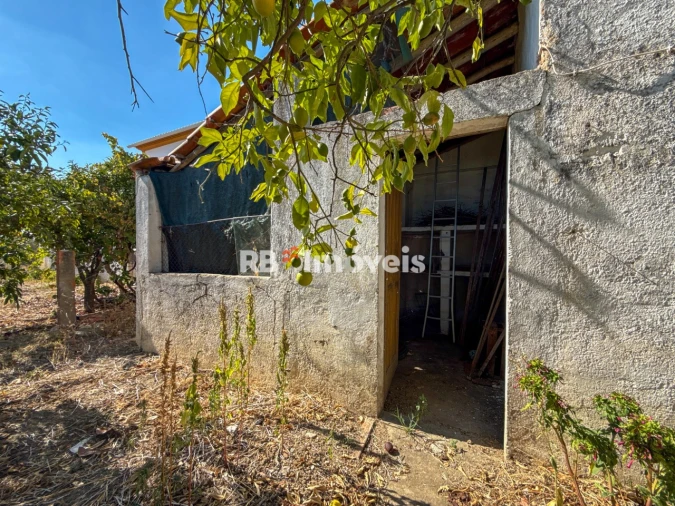 Moradia T3 para Venda em Nossa Sra de Fatima Foto 36