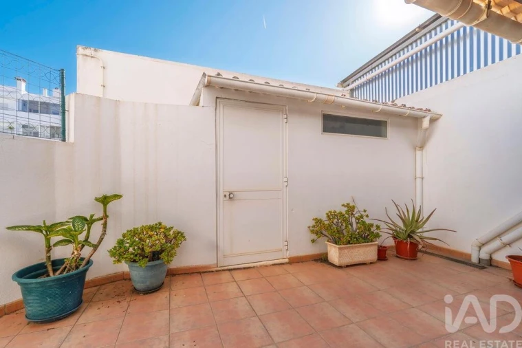 Loja para Venda em Montenegro Foto 21