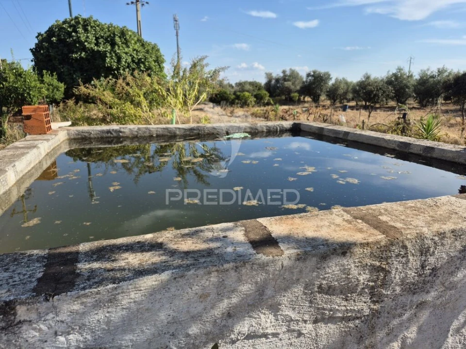 Terreno para Venda em Nossa Senhora da Conceição e São Bartolomeu Foto 11