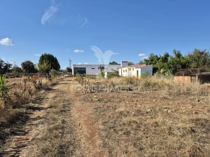 Terreno para Venda em Nossa Senhora da Conceição e São Bartolomeu Foto 5