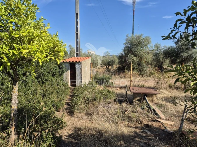 Terreno para Venda em Nossa Senhora da Conceição e São Bartolomeu Foto 3