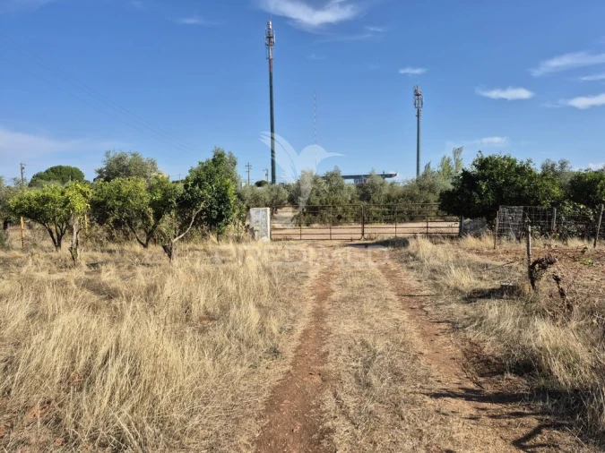 Terreno para Venda em Nossa Senhora da Conceição e São Bartolomeu Foto 4