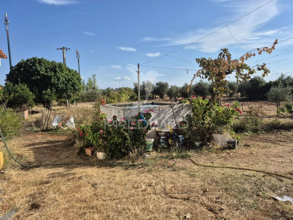Terreno para Venda em Nossa Senhora da Conceição e São Bartolomeu Foto 10