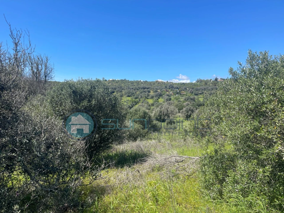 Terreno para Venda em Luz Foto 15