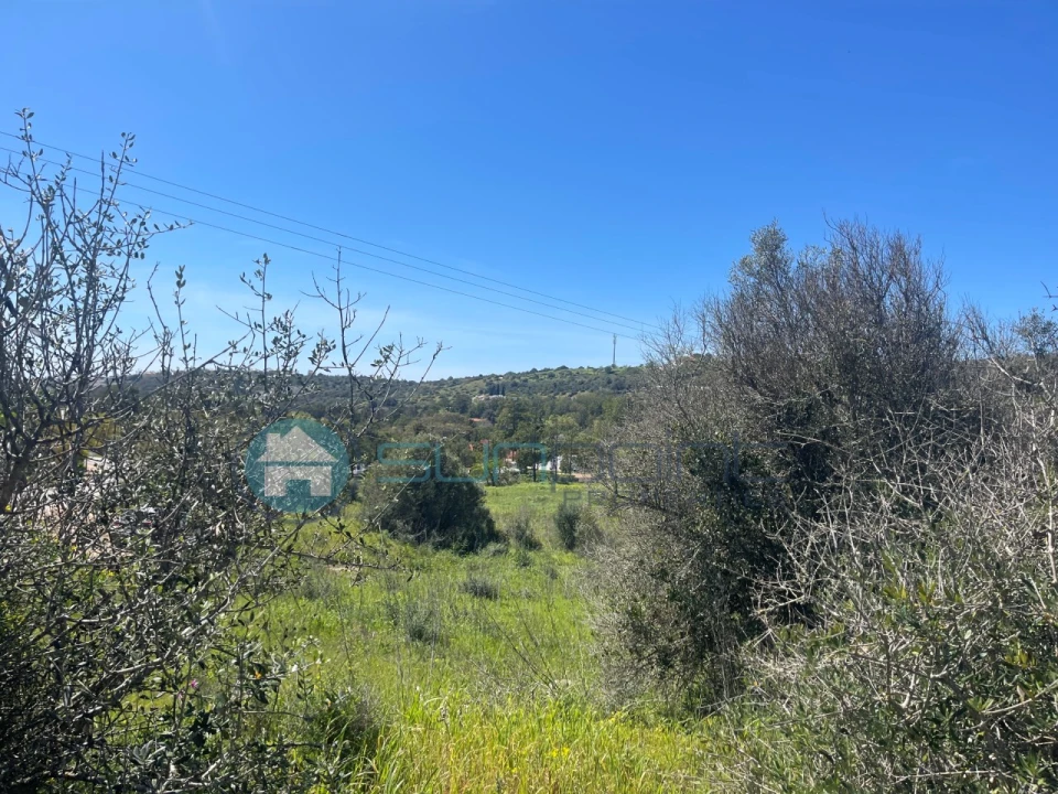 Terreno para Venda em Luz Foto 18
