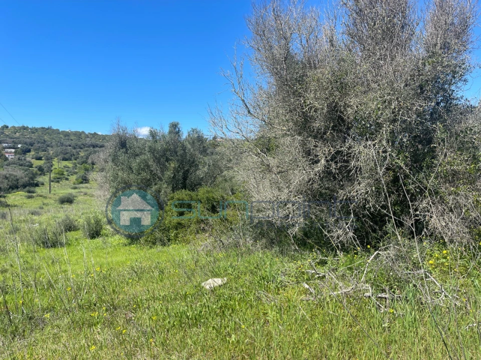 Terreno para Venda em Luz Foto 19
