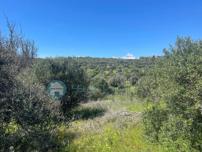 Terreno para Venda em Luz Foto 15