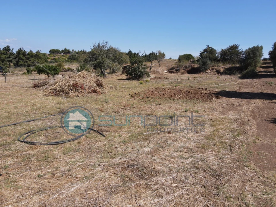 Terreno Agricola ou Rústico para Venda em Bensafrim e Barão de São João Foto 8