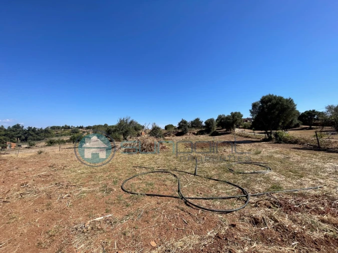 Terreno Agricola ou Rústico para Venda em Bensafrim e Barão de São João Foto 9