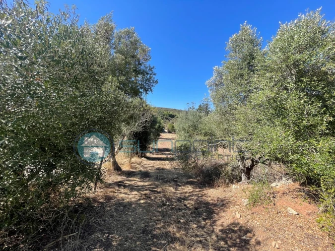 Terreno Agricola ou Rústico para Venda em Bensafrim e Barão de São João Foto 13