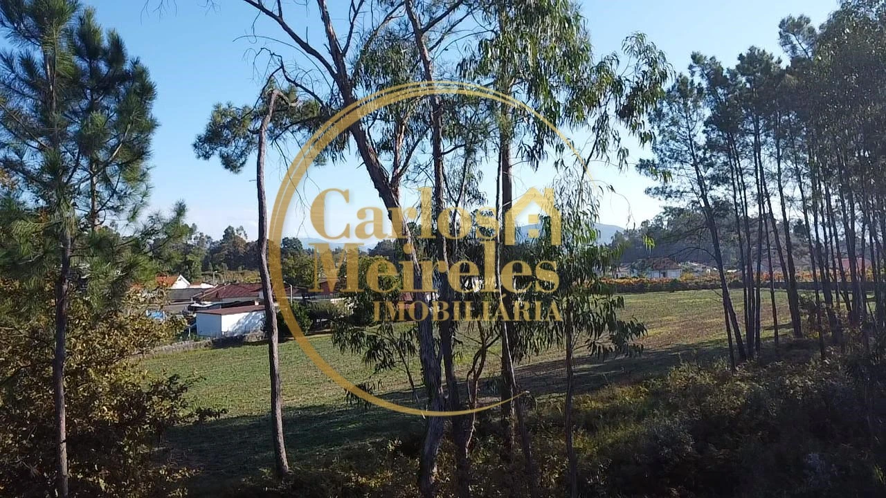 Quinta T4 para Venda em Turiz Foto 20