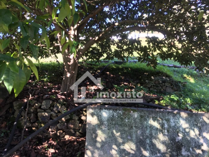 Moradia T3 para Venda em Arega Foto 38