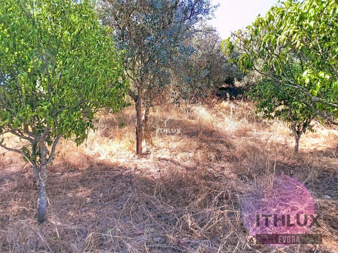 Moradia T3 para Venda em Viana do Alentejo Foto 15