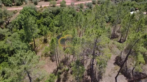Terreno Agricola ou Rústico para Venda em Alte