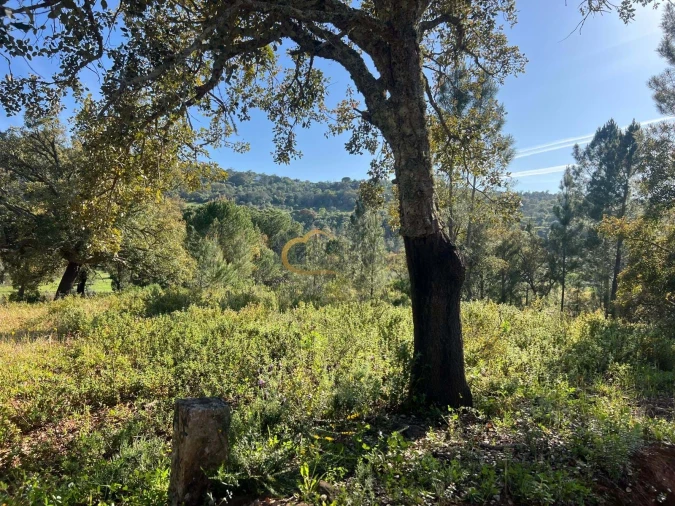 Terreno Agricola ou Rústico para Venda em Alte Foto 2