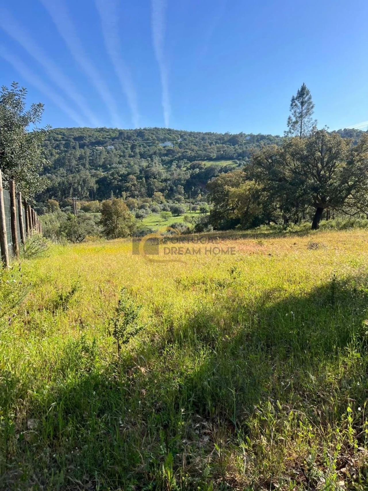Terreno Agricola ou Rústico para Venda em Alte Foto 1