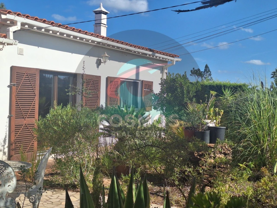 Moradia T3 para Venda em Aljezur Foto 44