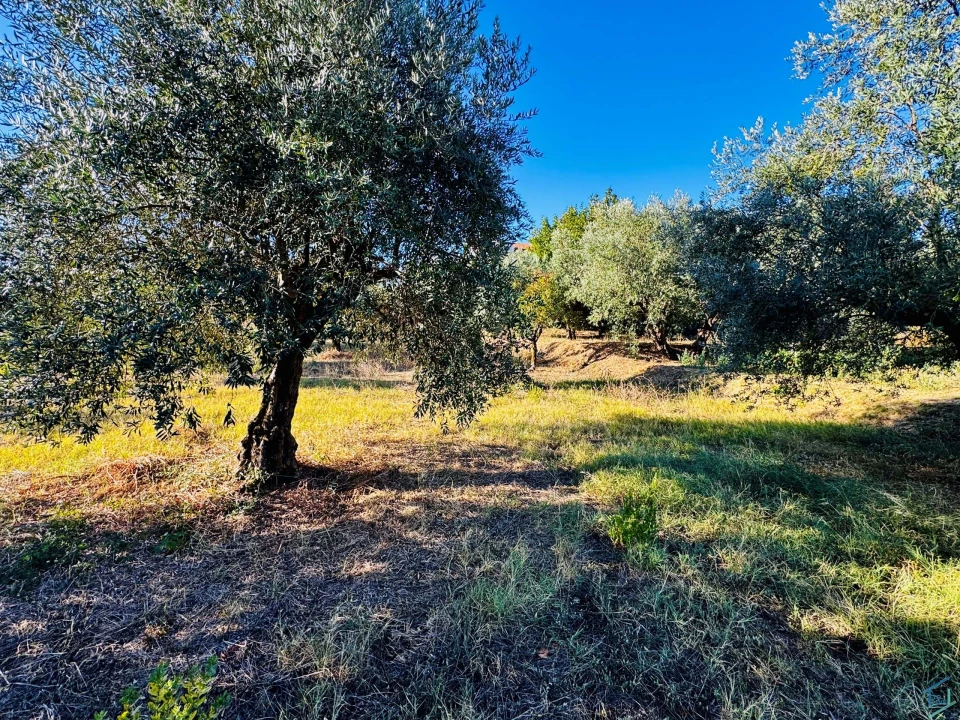 Moradia T3 para Venda em Madalena e Beselga Foto 29