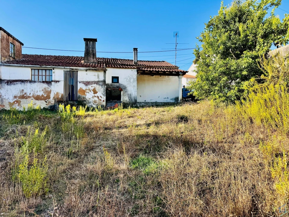 Moradia T3 para Venda em Madalena e Beselga Foto 31