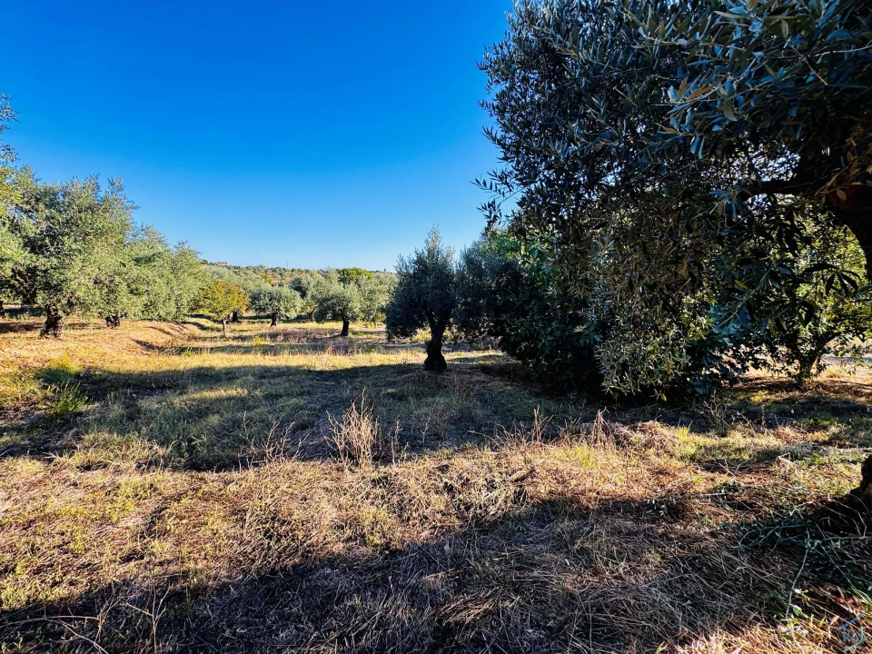 Moradia T3 para Venda em Madalena e Beselga Foto 23