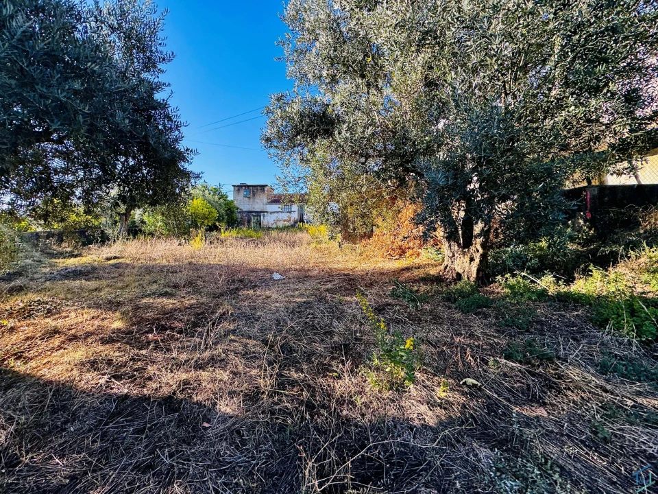 Moradia T3 para Venda em Madalena e Beselga Foto 25